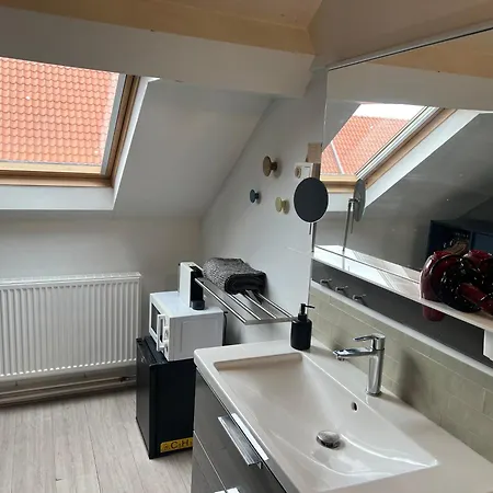 מלון Cozy Boutique Hotel-Guesthouse Leuven -Self Check In ליובן