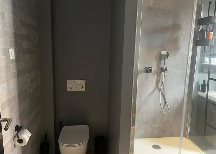 Cozy Boutique Hotel Leuven -Self Check In 4* ליובן