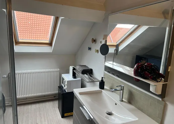 מלון Cozy Boutique Hotel Leuven -Self Check In ליובן